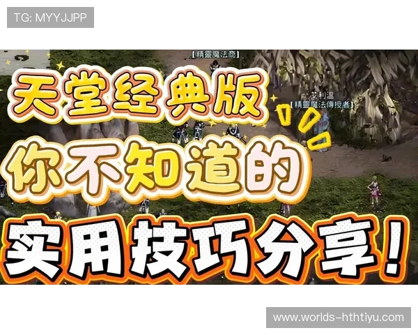 hth官方攻略大全,详细介绍新手入门指南与高级玩家的实用技巧分享